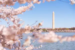 ag体育官网-拉格朗日舰船对照表